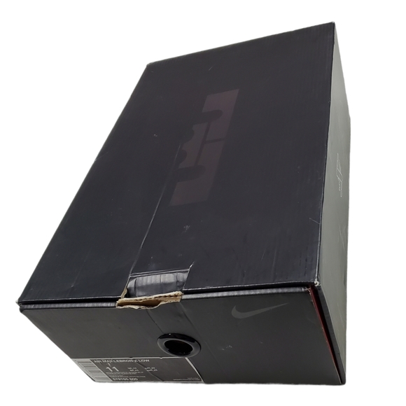 Air Max Lebron - Picture 14 of 15